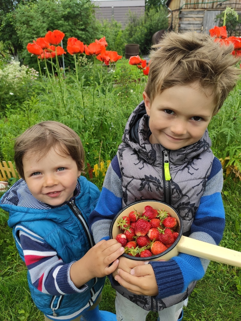 плацкарт голые дети