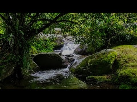 RELAXING WATERFALL IN FOREST For Sleep Deeply Relaxation Méditation Study Massage