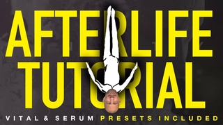 Afterlife Lead Synth “Cassian - Landa“ (Serum Vital Presets)