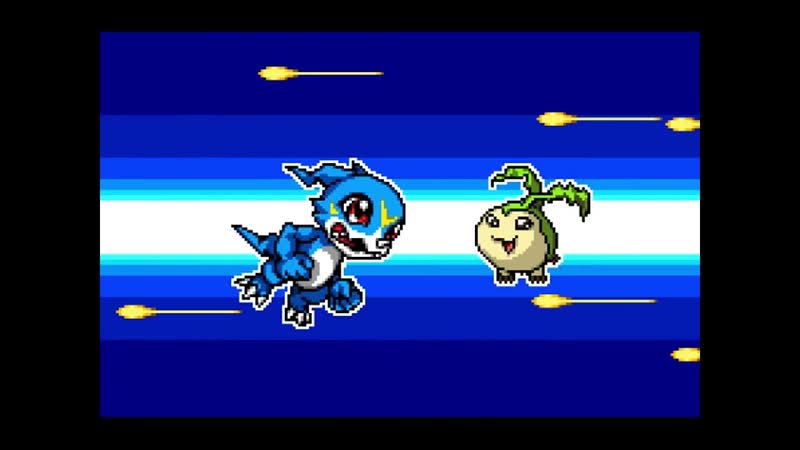 Digimon Adventure 02: D1 Tamers Wonderswan (2, 2