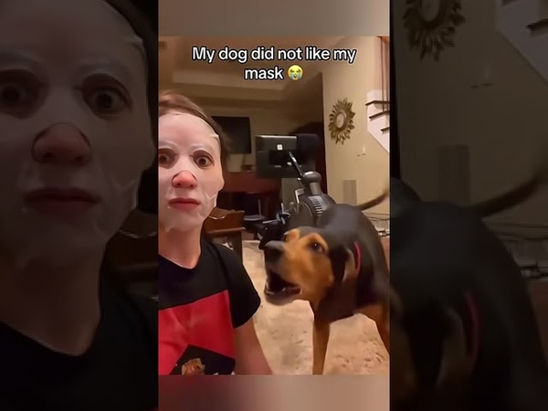 DOG VS CAT IS