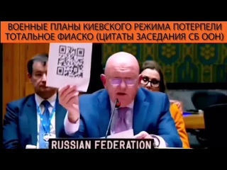Военные планы киевского режима потерпели тотальное фиаско (цитаты заседания СБ ООН)