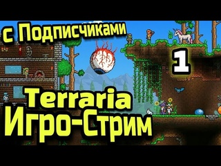 Игро-Стрим. Terraria с подписчиками