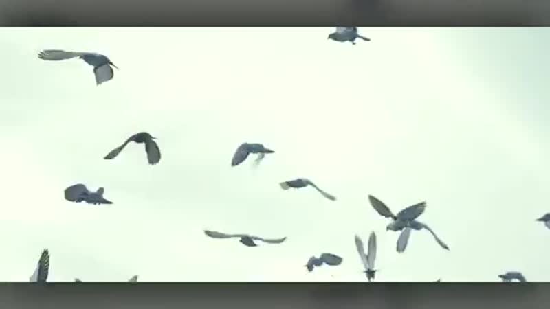 Burak Balkan Sensual ( Original Mix )