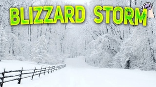 HOWLING WIND RELAXING SNOW FALLING  (Black Screen) Heavy Wind & Snow - BLIZZARD STORM SOUNDS