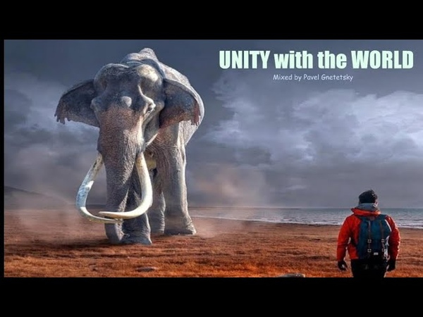 Unity with the World Progressive House Melodic Techno Mix ( Mixed by Pavel