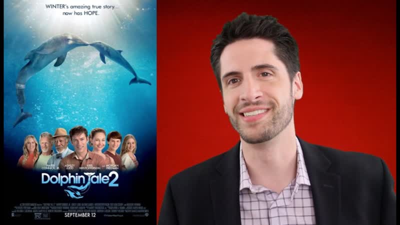 Dolphin Tale 2 movie