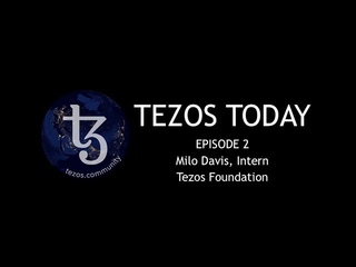 Tezos Today - Ep 2.  Milo Davis - Michelson Dev.