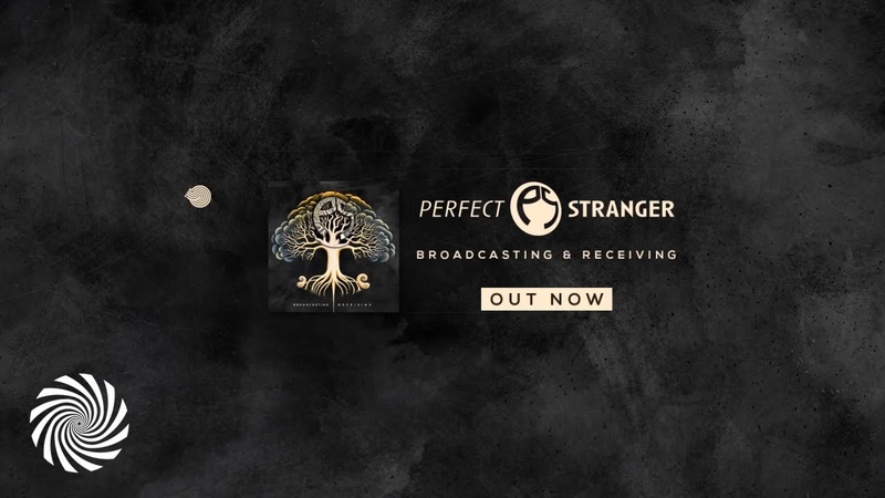 Perfect Stranger Timewarp (2022