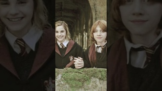 Harry=Steve #harrypotteredit #goldentrio #romione