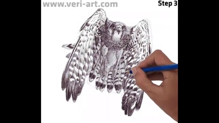 Enjoy, and Fast How to Draw 'Eagle, Movement and Expression 6' (Tehnik Cepat dan Mudah Menggambar)