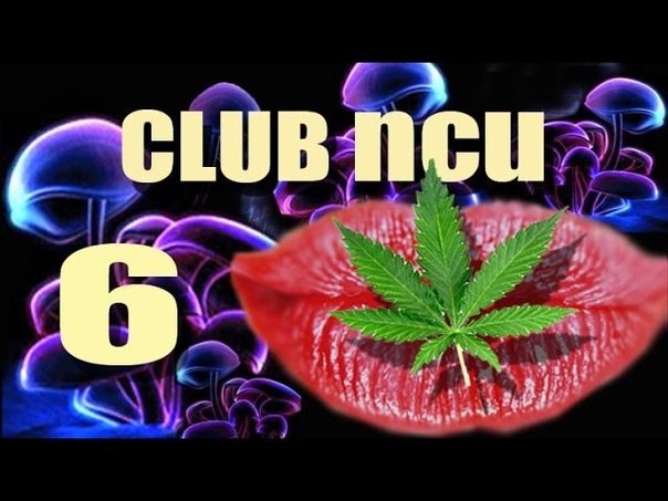 6. CLUB ПСИ. Как Инь заcтрял в Яне. Какая то баба