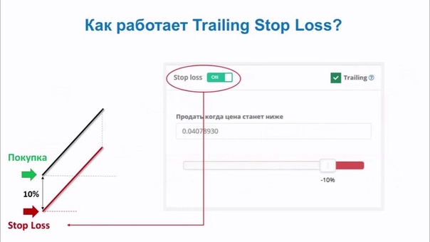 Красивые школьницы рассказывают свои секреты и даже