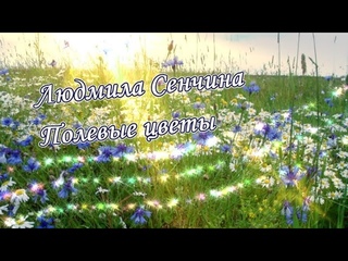 Полевые цветы.  Людмила Сенчина.