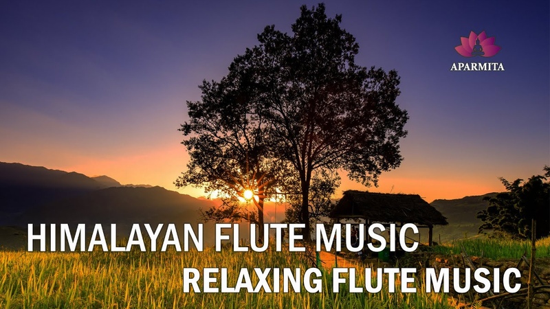 Relaxing Flute Music, Himalayan Flute Music, Meditation Music, (ब स र ) Aparmita Ep.