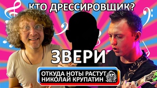 История создания группы “Звери“