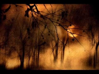 dave gahan - saw something