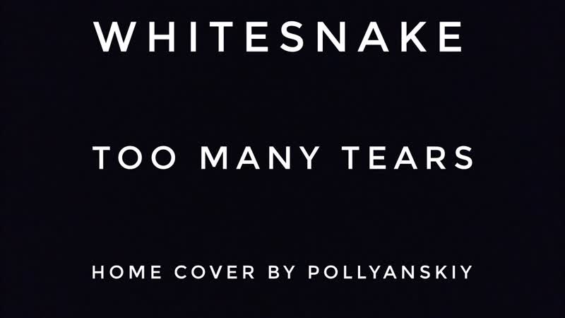 Whitesnake Too many tears (cover by