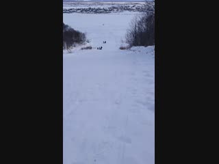 V90209-164041.mp4