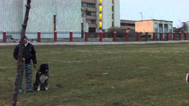 Работа