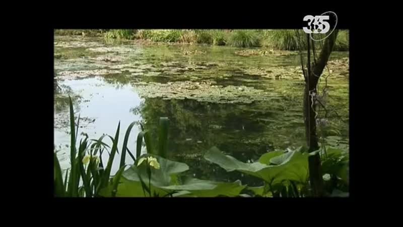 Клод Моне в Живерни. Дом Алисы, Claude Monet à Giverny, la maison d Alice, 2010,