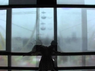 Liebestod-Wagner- Remix