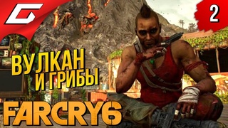 НАКОНЕЦ УБОЙНЫЕ ПУШКИ ➤ FAR CRY 6 - VAAS: Insanity  Прохождение #2