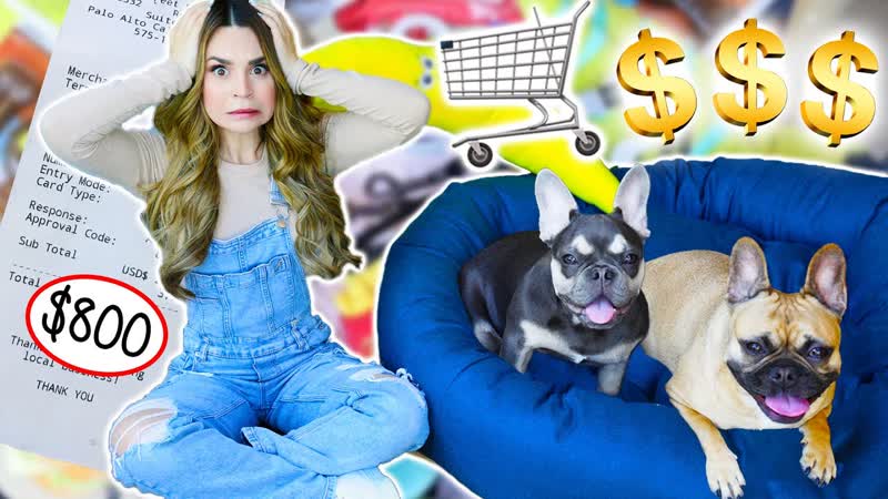Buying My Dogs Everything They