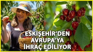 Eskiehir'in 1352 Rakml lesinden Avrupa'ya Kiraz hrac