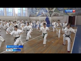 Файтеры Чувашии прошли мастер-классы по каллиграфии кекусинкай