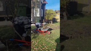 #юмор #дача #друзья #жиза