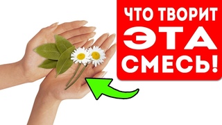 Оказывается если добавить лавровый лист в отвар с ромашкой, то можно...