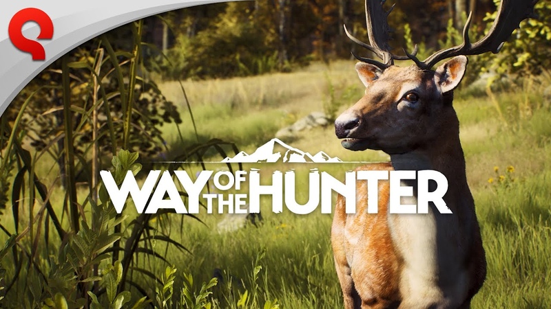 Way of the Hunter Animals of Transylvania