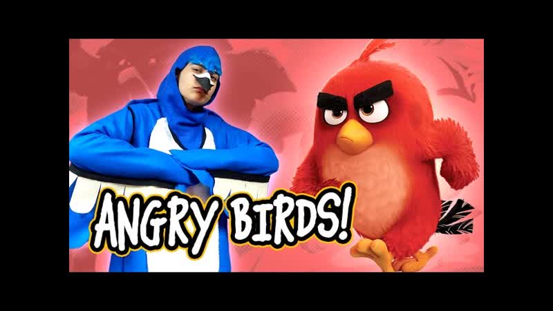 BECOMING ANGRY BIRDS (
