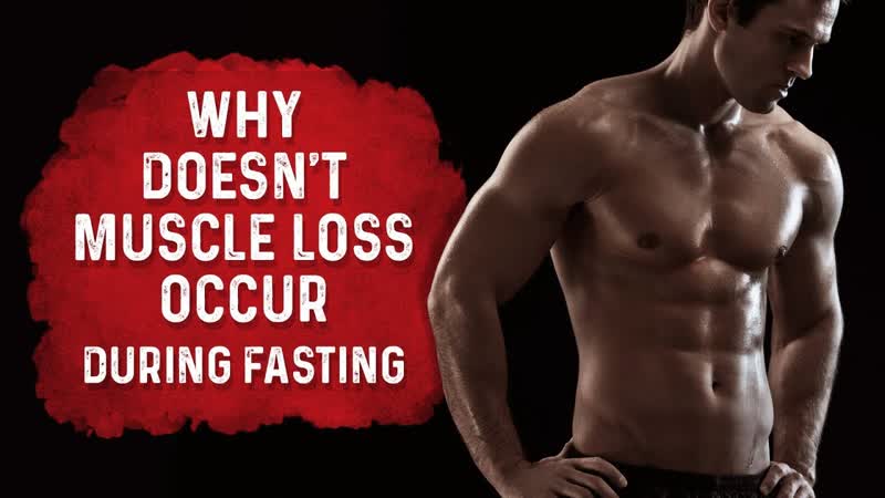Why Doesnt Intermittent Fasting Cause Muscle