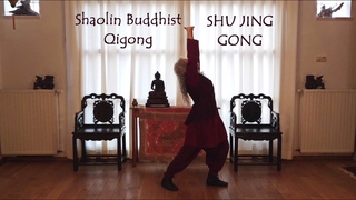 Shaolin Buddhist Qigong form SHU JING GONG  with Buddhist mantra and breathing (HD)