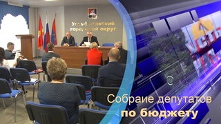 Внеочередное Собрание (бюджет)