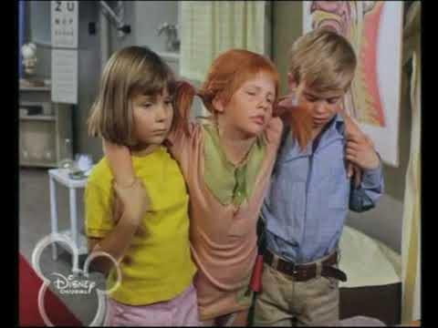 Pippi dal