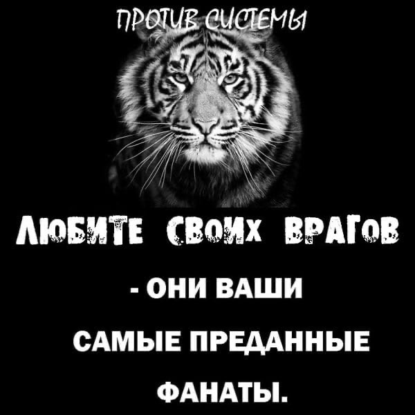 Всем врагам назло цитаты