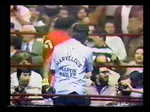 Marvin Hagler, Sugar Ray Seales