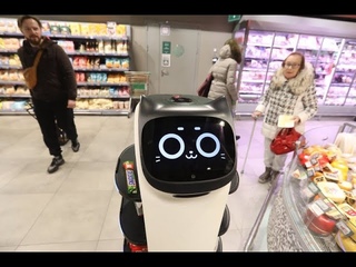 Роботы-коты, которые помогают покупателям, появились в магазинах Москвы