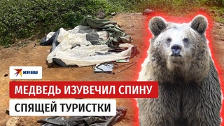 Медведь на Камчатке напал на спящую туристку