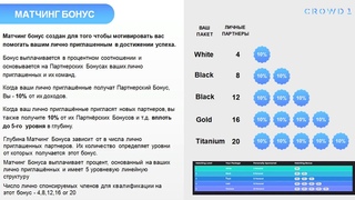 #CROWD1   Короткая  презентация 5 минут 1