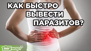Как Быстро Вывести Паразитов? Убираем паразитов натуральными средствами. Михаил Советов на Вегмарте