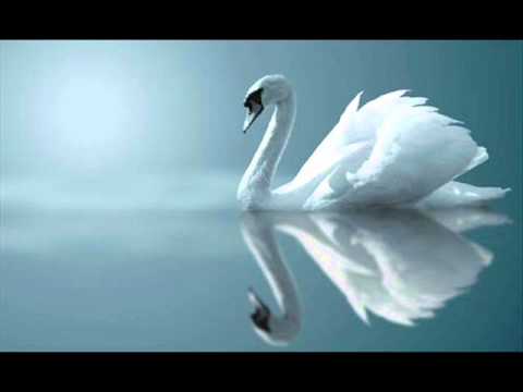 Claude Debussy : Clair de Lune, for Piano ( Suite Bergamasque No. 3), L. 75,