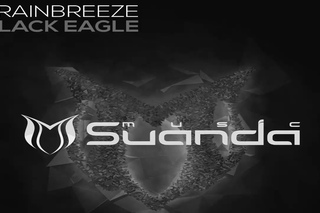 Frainbreeze - Black Eagle (Extended Mix)