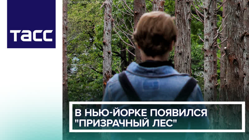 В Нью И орке появился призрачныи