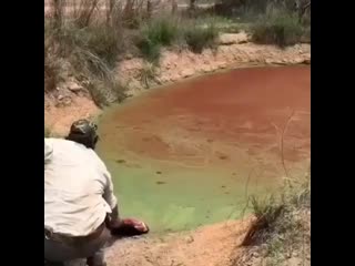 Crocodilo.mp4