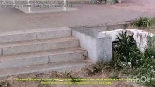 Колпино: Золотые пляжи и водопады Петербурга. Куда пойти купаться в жару
