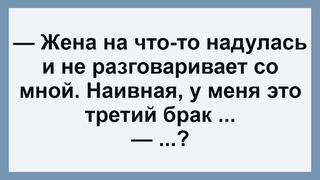 Сборник Самых Смешных Анекдотов для Настроения! Жена надулась и не разговаривает ...!